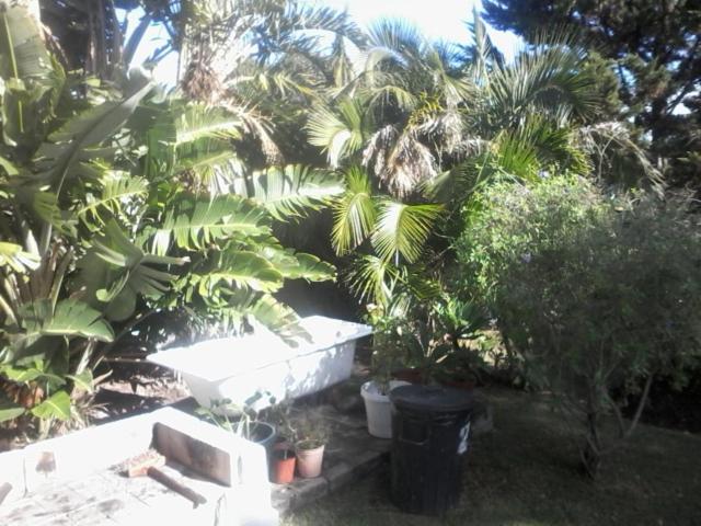 Self Catering Unit 6, Sandbaai Hermanus Kültér fotó