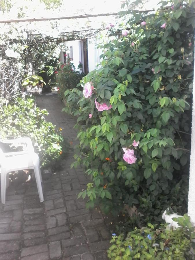 Self Catering Unit 6, Sandbaai Hermanus Kültér fotó
