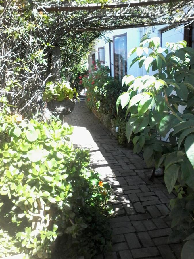 Self Catering Unit 6, Sandbaai Hermanus Kültér fotó