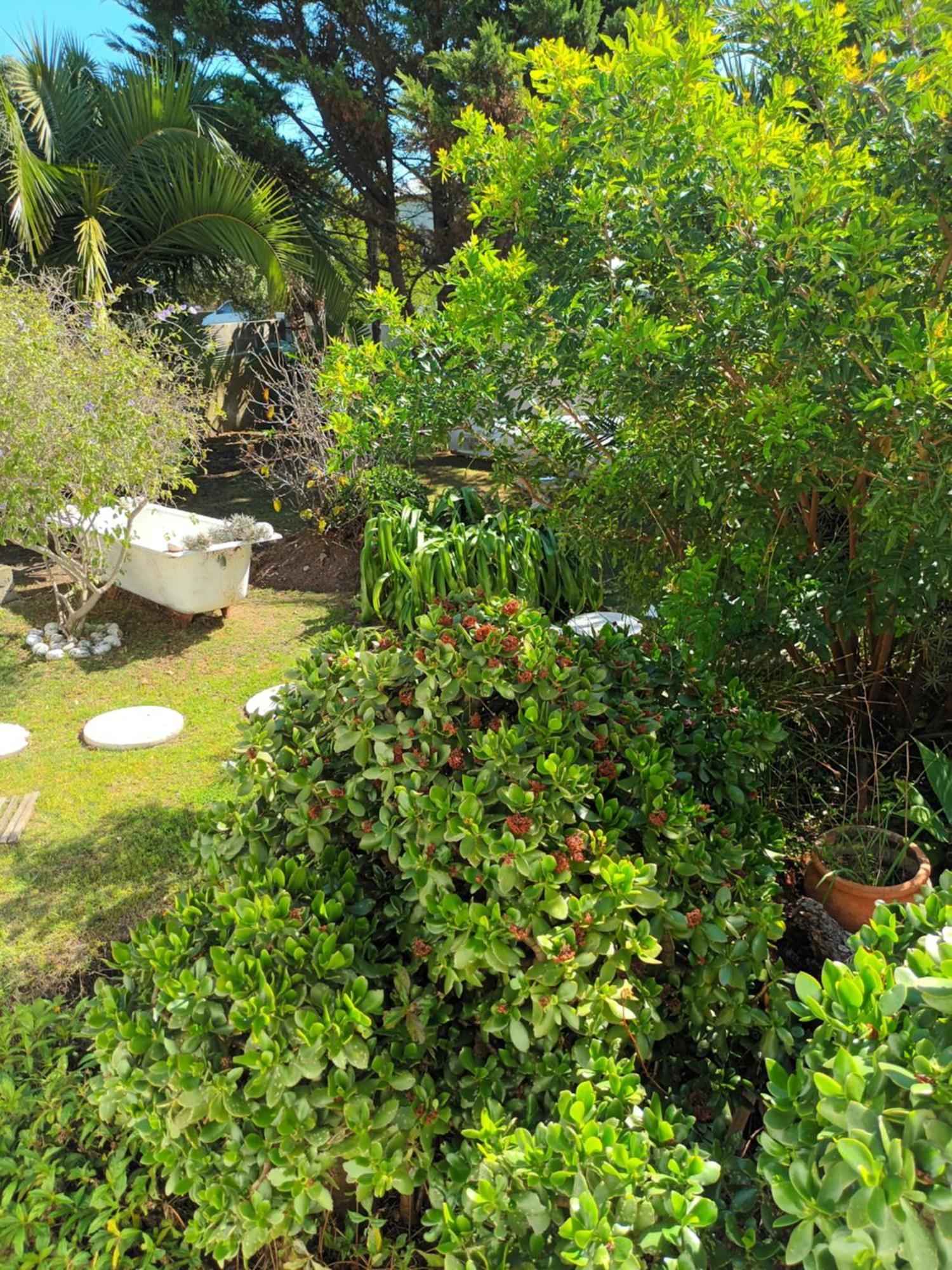 Self Catering Unit 6, Sandbaai Hermanus Szoba fotó